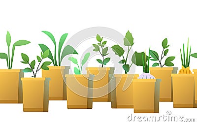 Roots in box. Seedling garden plants. Sowing agricultural material. Bottom seamless horizontal composition border Vector Illustration