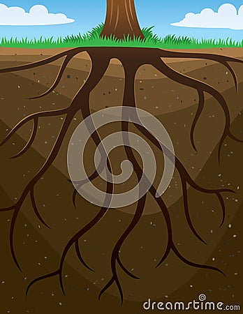 Roots Tree Background Vector Illustration