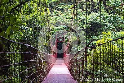 Rope bridge - Monteverde Cloud Forest Reserve Stock Photo