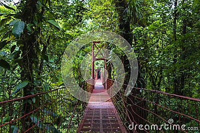 Rope bridge - Monteverde Cloud Forest Reserve Stock Photo
