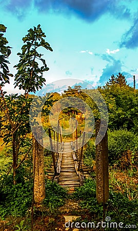 Rope bridge in the nature Stock Photo