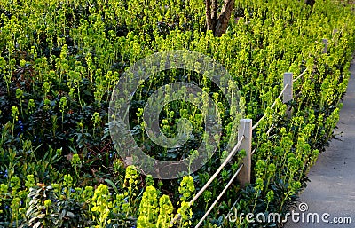 A rope fence in the city park protects flower beds from the entrance of people dogs or bicycle entry into flower beds separates th Stock Photo