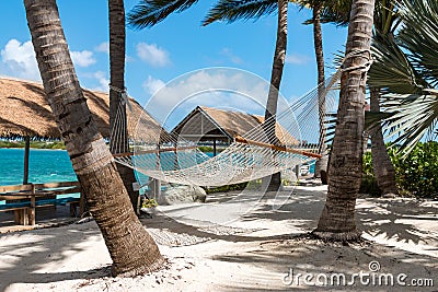 Rope hammocks suspended on tropical island awaiting traveler to relax in. Stock Photo