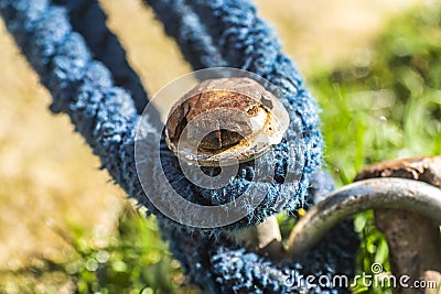 Rope and iron pile Stock Photo
