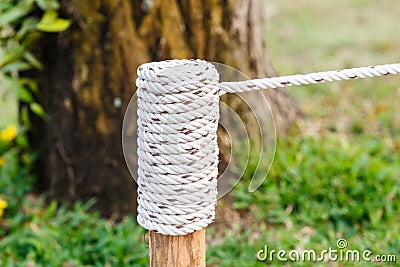 Rope knot on wood in garden Stock Photo