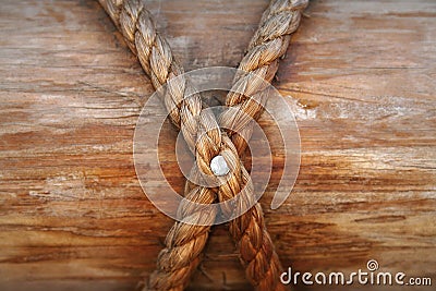 Rope, nail and wooden surface Stock Photo