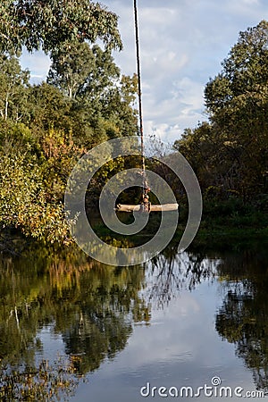 Rope swing at the Putah Creek in Davis, California, USA Stock Photo