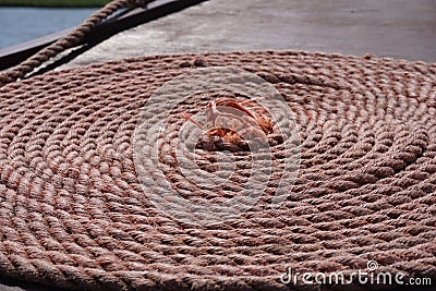 The rope is twisted to decorate the boat. life ring, life rope on the boat Stock Photo