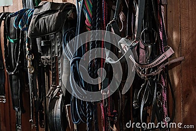 Ropes, chains, horse stable tools hanging on a fence at a horse farm Stock Photo