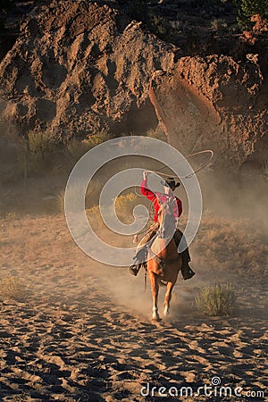 Roping Cowboy Stock Photo