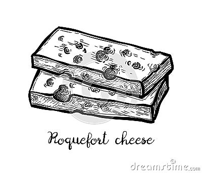 Roquefort cheese ink sketch. Vector Illustration