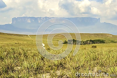 Roraima Table Mount Called in Pemon Indians Language Roraima Tepui with the Trekking Path to Roraima Summit , La Gran Sabana, Stock Photo