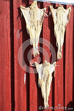 Rorbu & salted cod of Lofoten Stock Photo