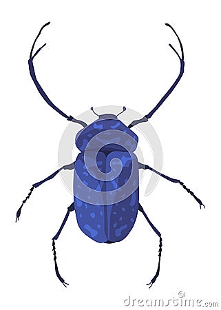 Rosalia batesi longhorn black-blue bug icon. Exotic beetle with long antennae and legs. Rosalia alpina entomology Vector Illustration