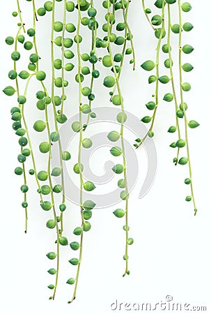 Rosary beads Stock Photo