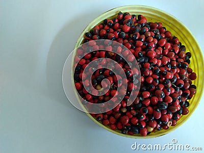 Rosary Pea or Abrus precatorius also known as Jequirity or prayer bean is herb flowering plant in the bean family. Stock Photo