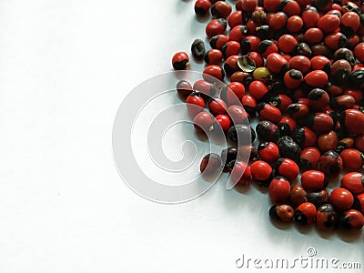 Rosary Pea or Abrus precatorius also known as Jequirity or prayer bean Stock Photo