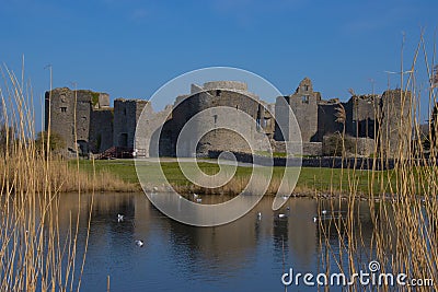 Roscommon castle and lake Stock Photo
