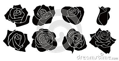 Rose Vector Illustration