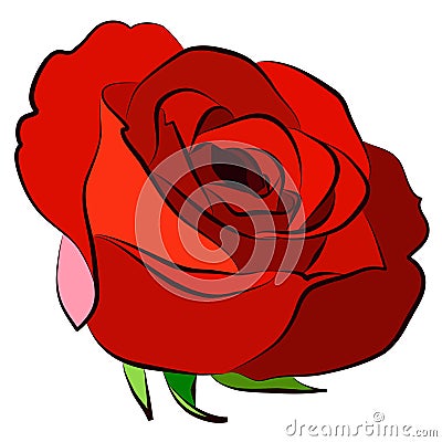 Red Rose Stock Photo