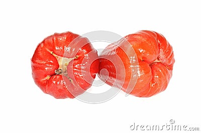 Rose Apple Stock Photo