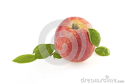 Rose apple with leaves Stock Photo