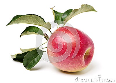 Rose apple with leaves Stock Photo