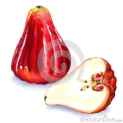 Rose apples or chomphu isolated on white background Stock Photo