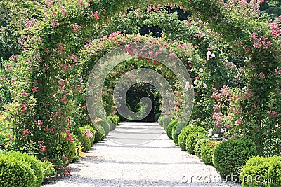 Rose Arch In the Garden Stock Photo
