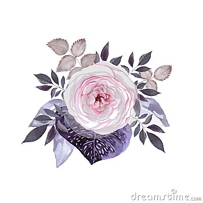 Rose blossom Vector Illustration