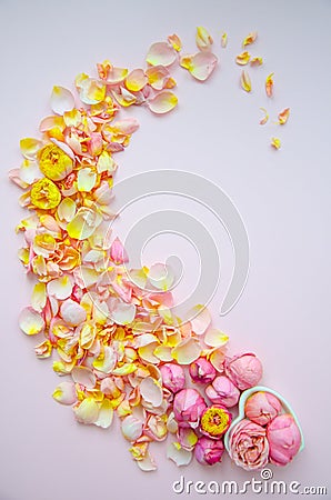 Rose buds and petals on a textured paper background. Background for Mother`s Day, St. Valentine`s Day, March 8. Top view Stock Photo