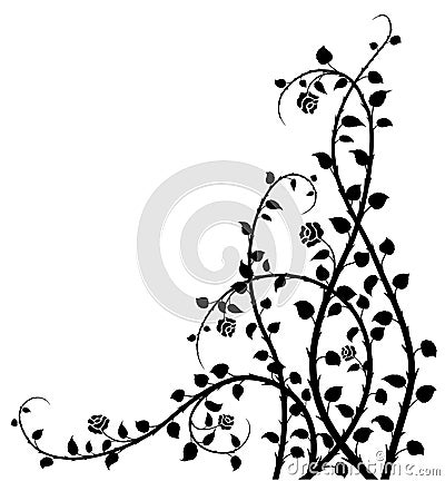 Rose-bush Vector Illustration