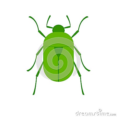 Rose Chafer icon Vector Illustration