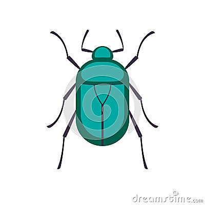 Rose Chafer icon Vector Illustration