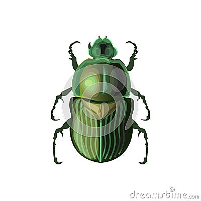 Rose chafer vector Vector Illustration