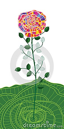 Rose colorful drawing steam Vector Illustration