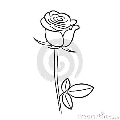 Rose contour image vector illustrations Vector Illustration