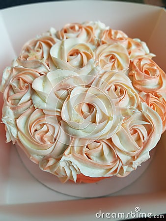 rose coral cake Stock Photo