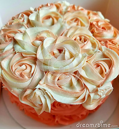 Rose coral cake Stock Photo