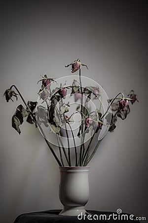 Rose dried in a ceramic vase. Left in the room with shadows. Stock Photo