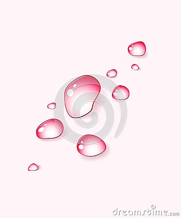 Rose drops Vector Illustration