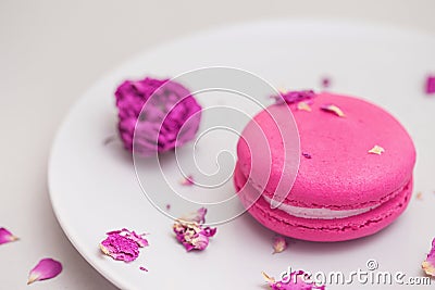 Rose flavour macaroon on a plate on pastel background Stock Photo