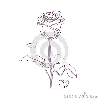 Rose flower. Abstract, stylized, cartoonish drawing drawn in one line. Sticker. Vector illustration Cartoon Illustration