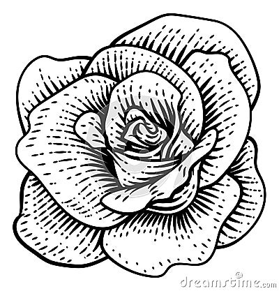 Rose Flower Design Woodcut Vintage Retro Style Vector Illustration