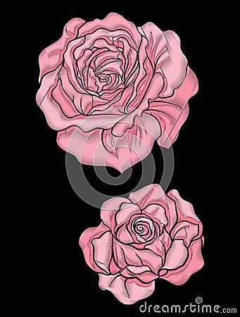 Rose flower for embroidery in botanical illustration style on a Vector Illustration