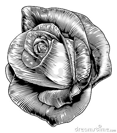 Rose Flower in Engraved Etching Woodcut Style Vector Illustration