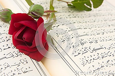 Rose flower and Koran Stock Photo