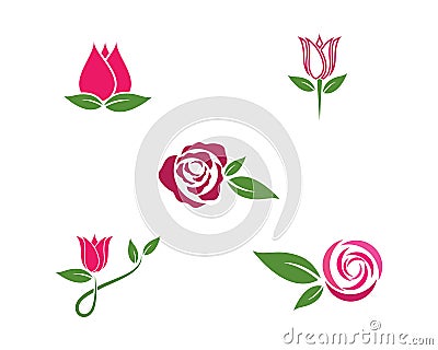 Rose flower Logo Template Vector Illustration