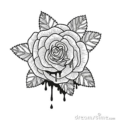 Rose flower monochrome vector illustration. Beautiful rose isolated on white background. Element for design of tattoo Vector Illustration