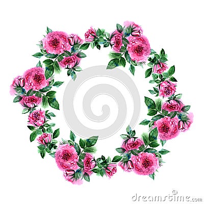 Rose flower wreath. Floral circle border. Watercolor frame Stock Photo